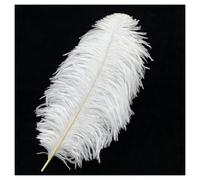 TSWNG Plumes d'autruche Grandes 50-55cm, Plumes Décoratives pour Bricolage Blanc, Plumes Naturelles Grandes, Plume de Cigne pour Noël Mariage Fête Carnaval Maison Décoration de Table DIY Déco