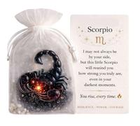 Tsynapter Zodiacs Pocket Hug Tokens Diys Sentimental pour Encouragement, soulagement des anxiétés, Soutien émotionnel, Souvenirs Inspirants, Carte d ' échange de Relations