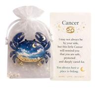 Tsynapter Zodiacs Pocket Hug Tokens Diys Sentimental pour Encouragement, soulagement des anxiétés, Soutien émotionnel, Souvenirs Inspirants, Carte d ' échange de Relations