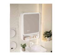 TSYORHSC Armoire de Toilette Murale avec Miroir et Porte Simple, Beige, 50 cm