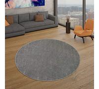 TT Home Salon Tapis Poils Ras Design Uni Moderne Et Intemporel, Couleur:Anthracite, Dimension:120 cm Rond