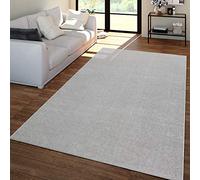 TT Home Salon Tapis Poils Ras Design Uni Moderne Et Intemporel, Couleur:Argent, Dimension:160x220 cm
