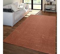 TT Home Salon Tapis Poils Ras Design Uni Moderne Et Intemporel, Couleur: Marron Orange, Dimension:200 cm Carré