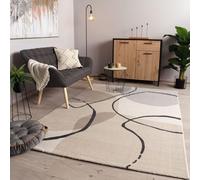 TT Home Tapis De Salon à Poils Courts Moderne Soft Pelucheux Design Abstrait Robuste, Couleur:Beige Clair Gris, Dimension:120x170 cm