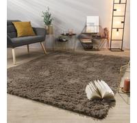 TT Home Tapis De Salon Tapis Shaggy Poil Long Doux Peluche Design Moderne Monochrome, Couleur: Beige Taupe, Dimension:160x220 cm