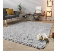 TT Home Tapis De Salon Tapis Shaggy Poil Long Doux Peluche Design Moderne Monochrome, Couleur: Gris Argent, Dimension:160x220 cm