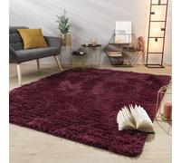 TT Home Tapis De Salon Tapis Shaggy Poil Long Doux Peluche Design Moderne Monochrome, Couleur:Violet, Dimension:60x100 cm