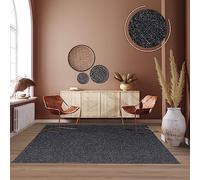 TT Home Tapis Pile Courte Chambre Adulte Salon Bohème Unis Scandi, Couleur:Anthracite, Dimension:120x160 cm