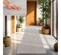 TT Home Tapis Poil Ras Tapis De Salon Monochrome Design Moderne Lavable, Couleur: Argent, Dimension:100x200 cm