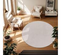TT Home Tapis Poil Ras Tapis De Salon Monochrome Design Moderne Lavable, Couleur: Argent, Dimension:200 cm Rond