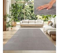 TT Home Tapis Poil Ras Tapis De Salon Monochrome Design Moderne Lavable, Couleur: Gris, Dimension:140x200 cm