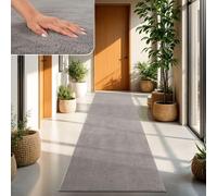 TT Home Tapis Poil Ras Tapis De Salon Monochrome Design Moderne Lavable, Couleur: Gris, Dimension:80x300 cm