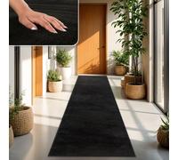 TT Home Tapis Poil Ras Tapis De Salon Monochrome Design Moderne Lavable, Couleur: Noir, Dimension:100x200 cm