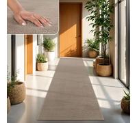 TT Home Tapis Poil Ras Tapis De Salon Monochrome Design Moderne Lavable, Couleur:Taupe, Dimension:80x150 cm
