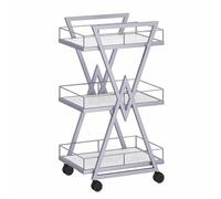 TT-YEC Chariot À Outils De Coiffure Portable En Métal, Chariot De Rangement Professionnel À Trois Niveaux Pour Salon De Coiffure, Établi De Coiffure Multifonctionnel,Argent