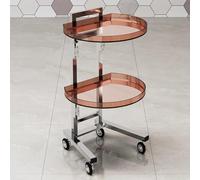 TT-YEC Chariot De Coiffure Roulant À Deux Niveaux En Acrylique, Chariot Mobile Portable Pour Outils De Beauté, Établi De Coiffure Pliable, Équipement De Coiffeur En Acier Inoxydable.,T