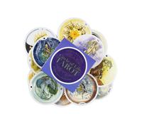 (TT97) Jeu de cartes de tarot du Cercle de la Vie, édition anglaise, Oracle Board, jeu de table INK