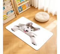 TTBAoDAoY Tapis de Porte Paillasson 40x60cm Interieur et Extérieur Antidérapant Absorbant, Adorable Chiot Malamute Husky allongé, isolé sur Une Maison d'animaux Beauté de la Faune Sauvage