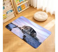 TTBAoDAoY Tapis de Porte Paillasson 40x60cm Interieur et Extérieur Antidérapant Absorbant, Chien de Race Husky de Sibérie Triste au Coucher du Soleil