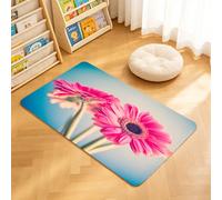 TTBAoDAoY Tapis de Porte Paillasson 40x60cm Interieur et Extérieur Antidérapant Absorbant, Fleurs Vintage, pétales de Gerbera dans Une Image Romantique floue