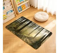 TTBAoDAoY Tapis de Porte Paillasson 40x60cm Interieur et Extérieur Antidérapant Absorbant, Forêt de conifères d'automne par Un Matin Brumeux