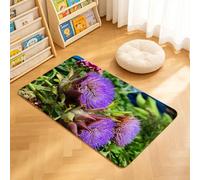 TTBAoDAoY Tapis de Porte Paillasson 40x60cm Interieur et Extérieur Antidérapant Absorbant, Photo d'artichaut de la Flore méditerranéenne avec Une Impression de récolte