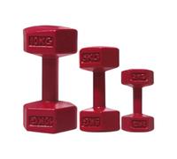 TTETTZ 3 Pièces Ensemble de Jeu de Sport Maison de Poupée Salle de Sport Haltère Scène Décorative Maison de Poupée Haltère Miniature Bouilloire Cloche, pour, Rouge