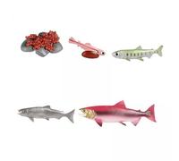 TTETTZ 4x Kit D'apprentissage Interactif sur Le Cycle de Croissance Du Saumon avec Modèles Animaux