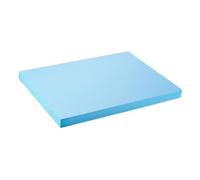TTETTZ Bloc de Mousse Artisanale pour Projet DIY Planche de Polystyrène pour Support de Maquette Feuille à Sculpter Facilement Base Solide pour Artisanat Min, 50 X 60 X 5 Cm