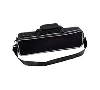 TTETTZ Étui à Flûte Portable Multifonction avec Double Compartiment et Bandeoulière Sac de Transport Résistant à L'Eau pour Flûte 16 Trous Protection, Argent