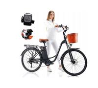 TTGO YY-26ST 250W36V14.5AH25KM/H