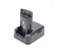 TTI Kit daccessoires H100 avec Batterie 2600mAh Incluse pour Radio CB Portable TCB-H100 - PNI-AK-H100