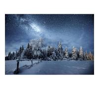 Ttincceer 1,5x1m Hiver Pays des Merveilles Nuit Chute de Neige Toile de Fond Bleu Ciel étoilé étoiles Pleines Flocons de Neige Fond sapins pin forêt Neige scène arrière-Plans Nouvel an Toile de Fond