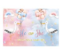 Ttincceer 150x100cm Quel Sera Bébé Fond de Photographie Mignon Cygne Bleu Rose Ballon pour Sexe Révélé, Baptême, Décoration Bannière
