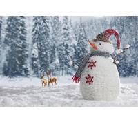 Ttincceer 2.5x1.8m Toile de Fond forêt enneigée d'hiver Bonhomme de Neige élan Fête de la Veille de Noël Photographie Fond Bannière de célébration du Festival du Nouvel an