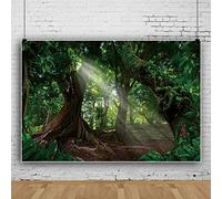 Ttincceer 250x180cm forêt Toile de Fond énorme Arbre Ancien tôt Le Matin Soleil Photographie Fond Tropical forêt Tropicale Paysage Naturel Photographie Toile de Fond Studio Photographie Accessoires