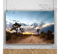 Ttincceer 250x180cm Toile de Fond désert Plantes du désert buissons saleté Route Photographie Fond Lever du Soleil Coucher du Soleil Paysage Naturel Photographie Toile de Fond