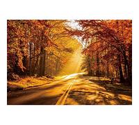 Ttincceer 300x200cm Automne forêt Feuille d'érable Rouge Toile de Fond Feuilles Jaunes forêt Route tôt Le Matin Soleil Photographie Fond Paysage Naturel Fond