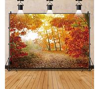 Ttincceer 300x200cm Automne forêt Toile de Fond Or Jaune Rouge Feuille d'érable forêt Paysage Naturel Photographie Fond feuillus Terre Route Automne Plante Fond Photo Stand Prop