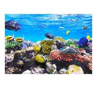 Ttincceer Aquarium Fish Tank Toile de Fond 3x2.5m Poisson Tropical Corail Pierre Fond sous-Marin Monde sous-Marin Paysage Photographie Toile de Fond Enfants Adultes Accessoires de tir