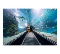 Ttincceer Aquarium Toile de Fond 2.2x1.5m sous-Marin Parc d'attractions Canal Paysage Fond Vie Marine Requins Poisson récif Photographie Toile de Fond Aquarium Fish Tank décor bannière