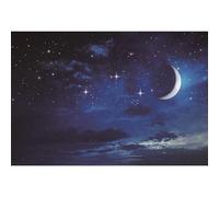 Ttincceer étoilé Nuit Toile de Fond 300x250cm Brillant Lune étoiles étincelant Photographie Fond Bleu Profond Nuit Ciel étoiles Photographie Toile de Fond Nouveau-né bébé Douche bannière