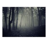 Ttincceer Toile de Fond Brumeux forêt Sombre Halloween 1,5x1m Bois effrayants Sombre Halloween fête Photographie Fond Portrait Magique sorcière Sorcier fantôme thème fête bannière décors