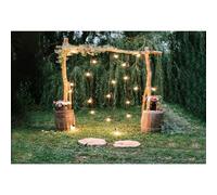 Ttincceer Toile de Fond de Mariage en Plein air 220x150cm Support de Fleurs en Bois Herbe Verte Photographie Fond Romantique Nuit Nuptiale baptême fête Photographie Toile de Fond