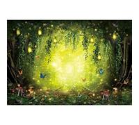 Ttincceer Toile de Fond forêts enchantées 2.7x1.8m coloré Papillon Champignon Pays des Merveilles Fond Conte de fées Bois Feuilles suspendues Photographie Toile de Fond