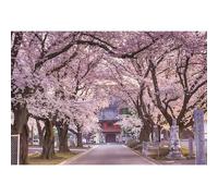 Ttincceer Toile de Fond Japonaise 180x120cm Printemps Fleur de Cerisier forêt Route Photographie Fond rétro Architecture Fleurs Floraison Photographie Toile de Fond Fond de fête de Mariage