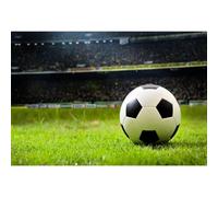 Ttincceer Toile de Fond Terrain de Football 1.5x1.2m Stade de Football, Herbe Verte, passionné de Sport, athlète, garçon, Anniversaire, Photographie, Accessoires de Tournage en Studio