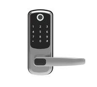 TTLOCK - serrure de porte intelligente électronique Wifi, avec empreinte biométrique, mot de passe, carte intelligente, déverrouillage par clé, chargeur d'urgence USB(Silver)