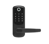 TTLOCK - serrure de porte intelligente électronique Wifi, avec empreinte biométrique, mot de passe, carte intelligente, déverrouillage par clé, chargeur d'urgence USB(Black)