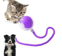TTPOLONG Jouet Interactif pour, Balle Interactive Chat, Trois Modes réglables avec Fonction de réveil pour Chien Chat (Violet)